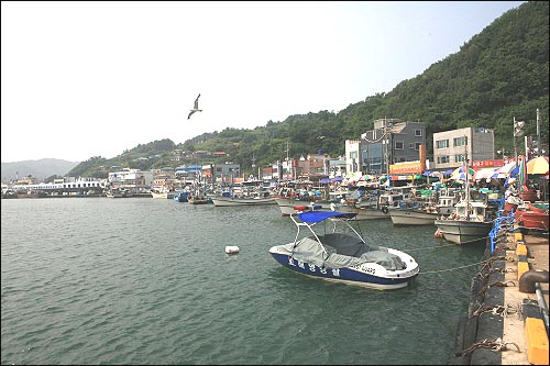 대게잡이로 유명한 '강구항', 이곳에는 대게를 파는 전문음식점이 빼꼭히 들어서 있다. 